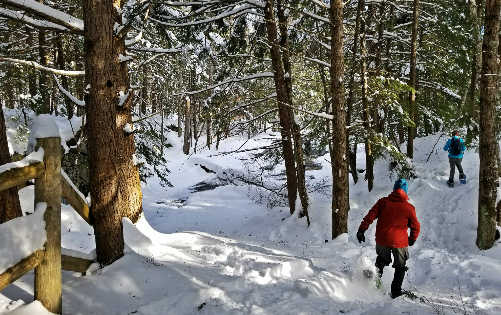 Snowshoe cathance river preserve topsham